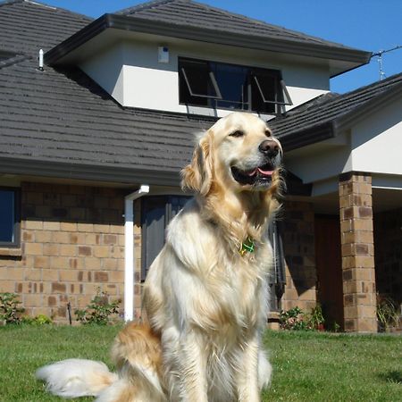 Ohuka Place Homestay Whitianga Bagian luar foto