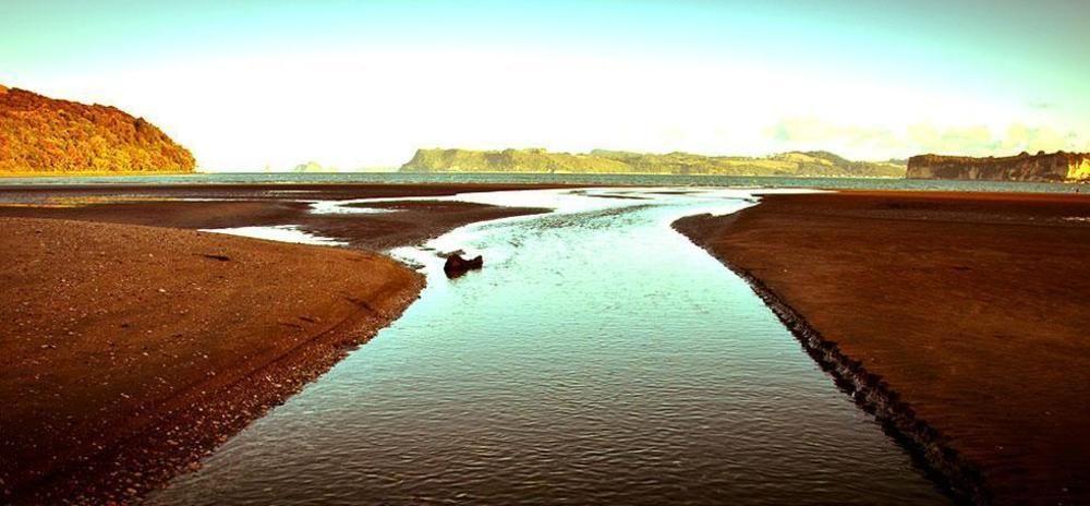 Ohuka Place Homestay Whitianga Bagian luar foto