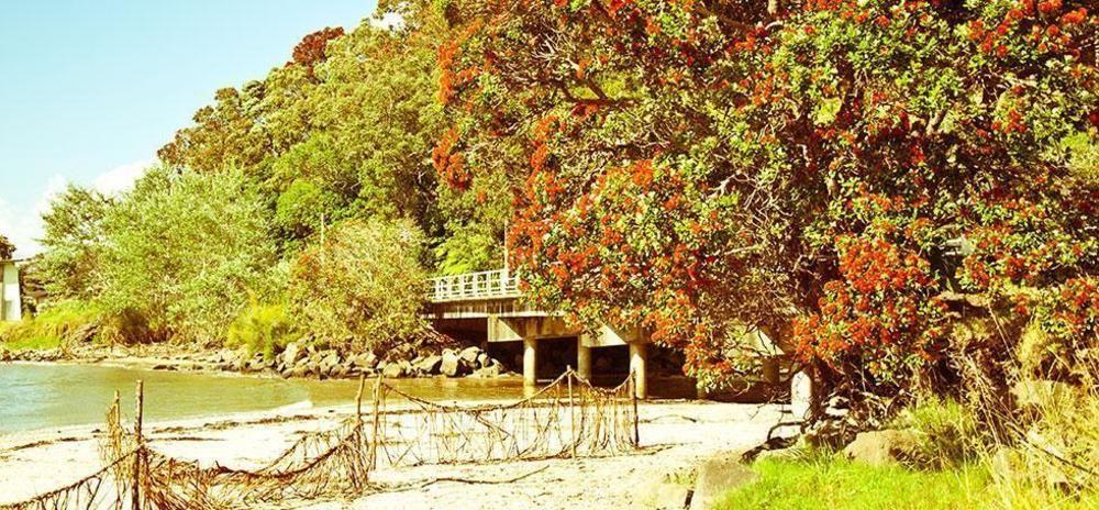 Ohuka Place Homestay Whitianga Bagian luar foto